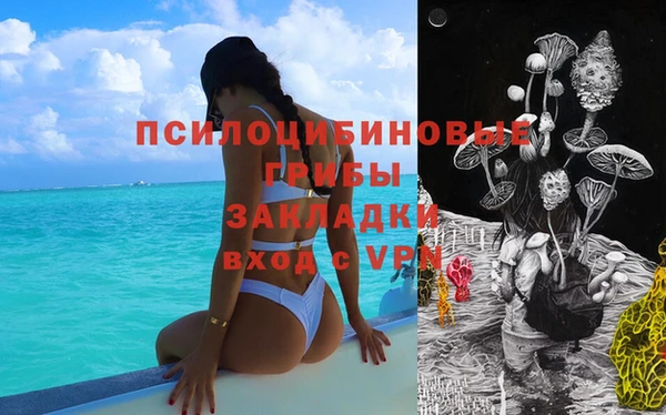 амф Беломорск