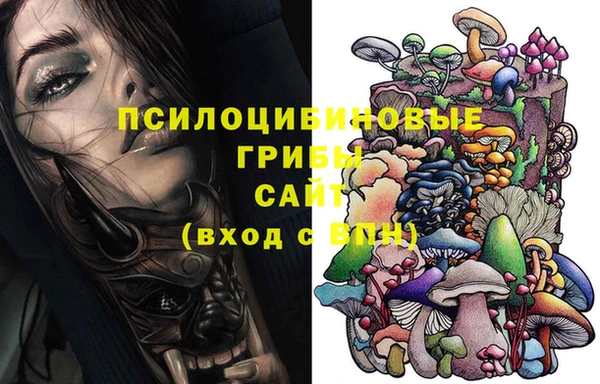 амф Беломорск
