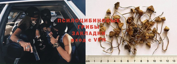 меф Снежинск